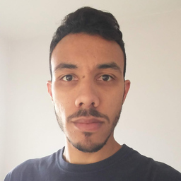 Leonardo Fernandes Bernardes