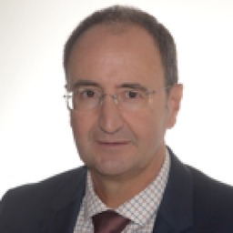 Dipl.-Ing. Ricardo de los Rios Ituarte