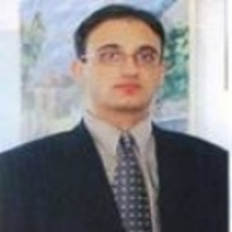 Burak Tok