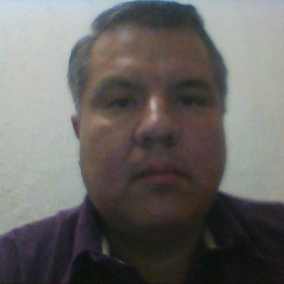 Ing. Luis Toledo