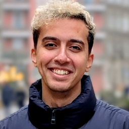 Mohamed Mostafa ElSayed Mohamed