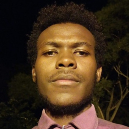 Joe Njogu