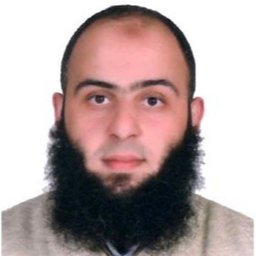 Ahmed Gamal El-Din