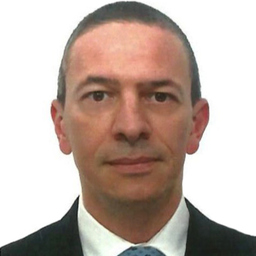 FABRIZIO CECCARINI