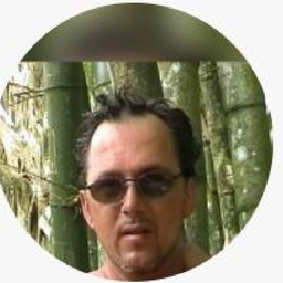 Michael Wollesen