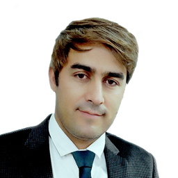 Behzad Hamzei