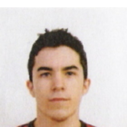 Raúl Moya Herrada