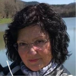 Karin Alber