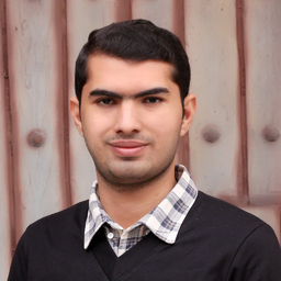 Muhammad Zeeshan Shahid