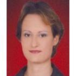Didem Erten