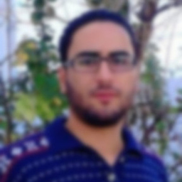Walid Mahjoubi
