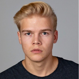 Profilbild Luniz Fischer