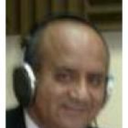 Roger Ruiz del Castillo