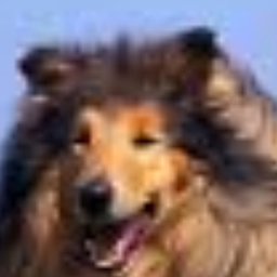Jill Cass's profile picture