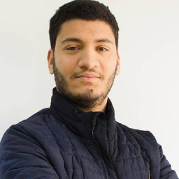 Mahmoud Karoui