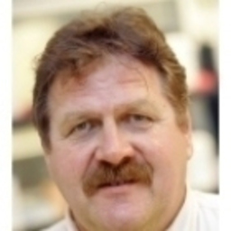 Werner Pranzas