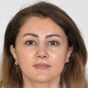 Sanaz Etminan