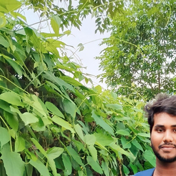 Bala Kumar
