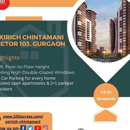 Oxirich chintamani