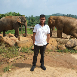 Sandeep Vijayakumar