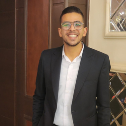 Hesham Mohamed