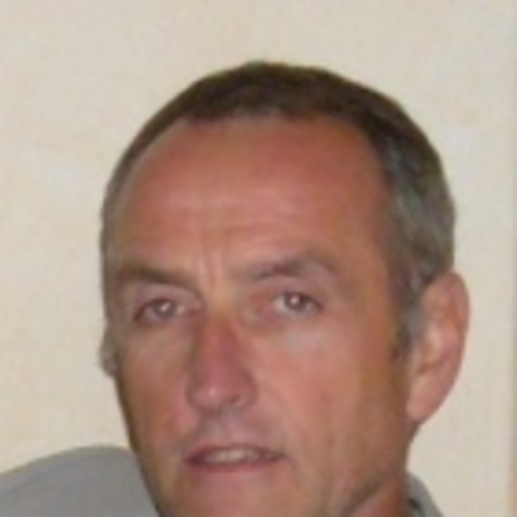 Hans Reitz Consultant MLP XING