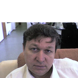 Дмитрий Кочкин