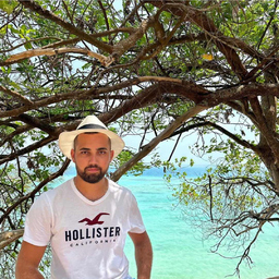 Stefan Radulovic