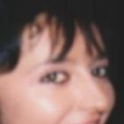 Dr. antonella torreggiani