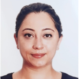 Ilgit Aslanyürek