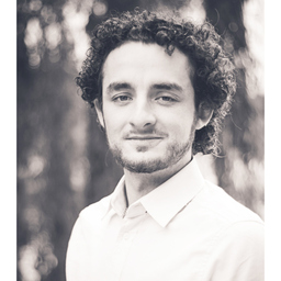 Tobias Rapp