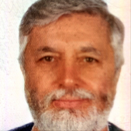 Daniel Anitei-Wiener