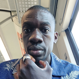 Arfang Njie