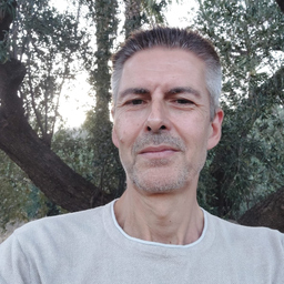 Olaf Maaß