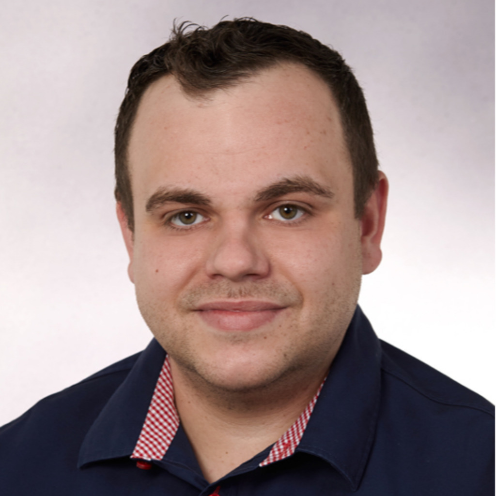 Alexander Dinges CAEAdminstrator Tesla Automation GmbH XING