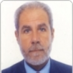 Albert Martinez Hernansaez