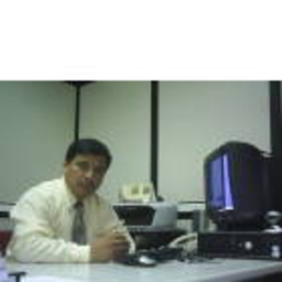 Nestor Palomino