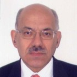 Luis Palomar París