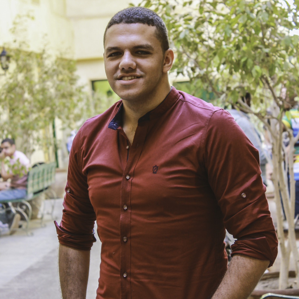 Mostafa Elsayed - Software Engineer - Hella Fahrzeugkomponenten GMBH ...