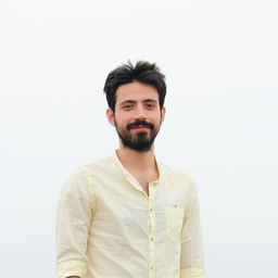 SEYED MOHAMMAD HOSSEINZADEH