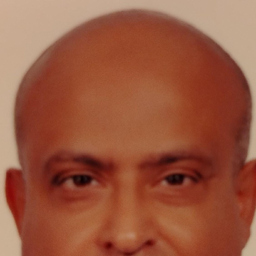Ibrahim Abdelrehim