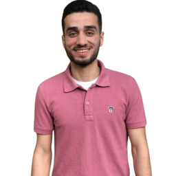 Alaa Abdelnabi