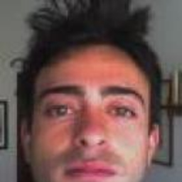 giancarlo briscese