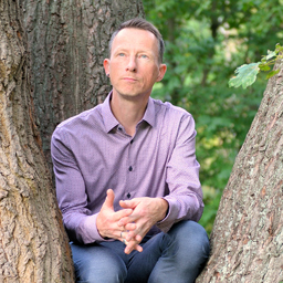 York Bielert's profile picture