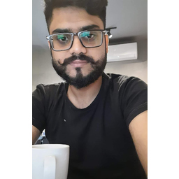 Ali HamXa