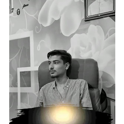 Haseeb Hussain
