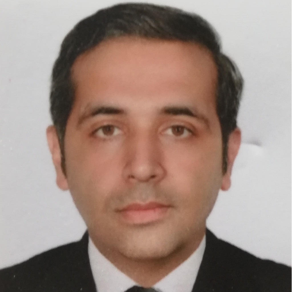 Mehdi Asadi SAP FICO S4 Consultant Gaia Energy XING