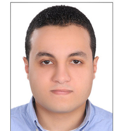 Ing. Ahmed Adam