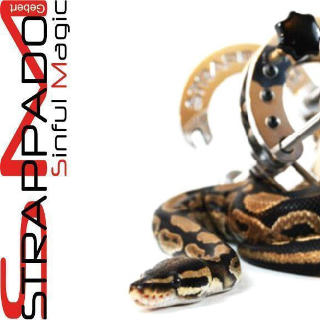 Clemens Gebert Geschäftsführer StrappadoSM XING