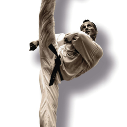 Frank Schneider